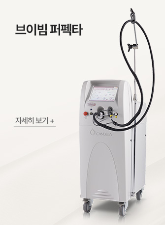 브이빔 퍼펙타