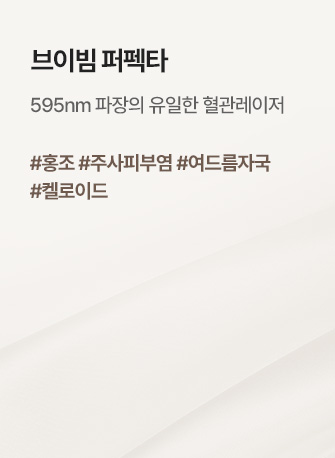 브이빔 퍼펙타