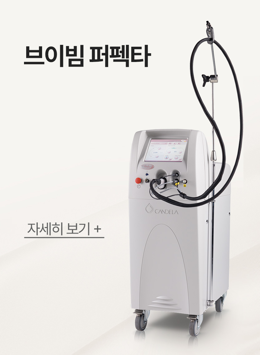 브이빔 퍼펙타